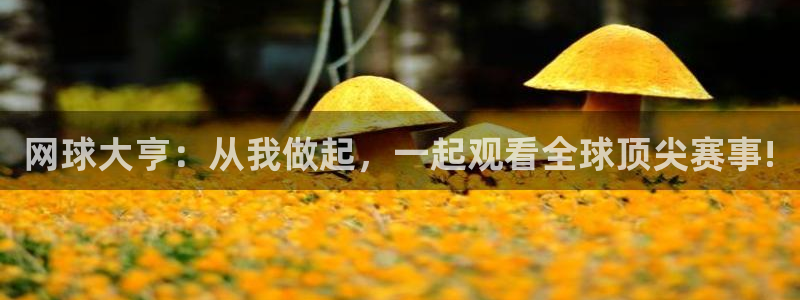 jrkan2022直播体育网：网球大亨：从我做起，一起观看全球顶尖赛事!