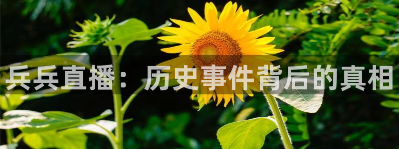 jrkan视频直播nba：兵兵直播：历史事件背后的真相