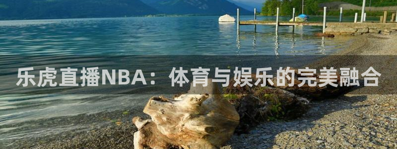 jrkan直播nba：乐虎直播NBA：体育与娱乐的完美融合