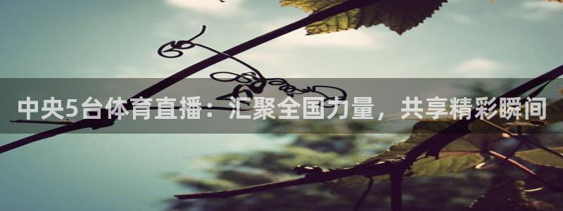 jrkan直播nba直播