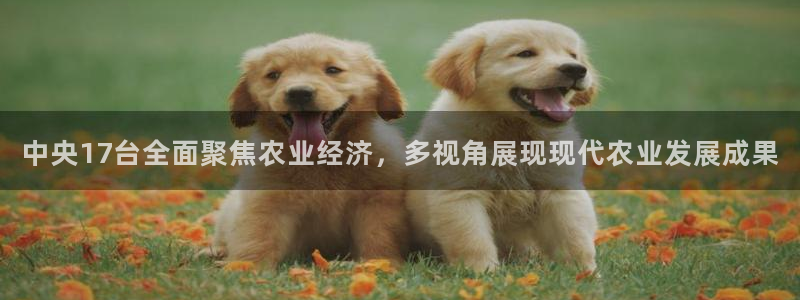 jrkankan体育直播：中央17台全面聚焦农业经济，多视角展现现代农业发展成果