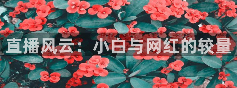 篮球直播jrkan：直播风云：小白与网红的较量