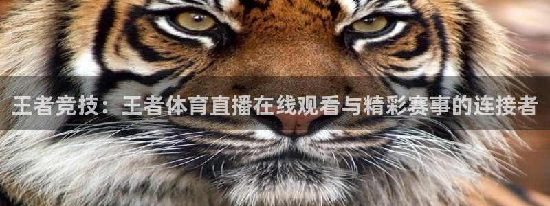jrkan直播免费体育直播