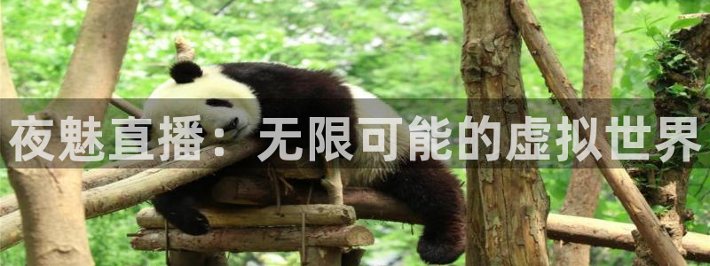 jrkan直播免费高清体育直播nba