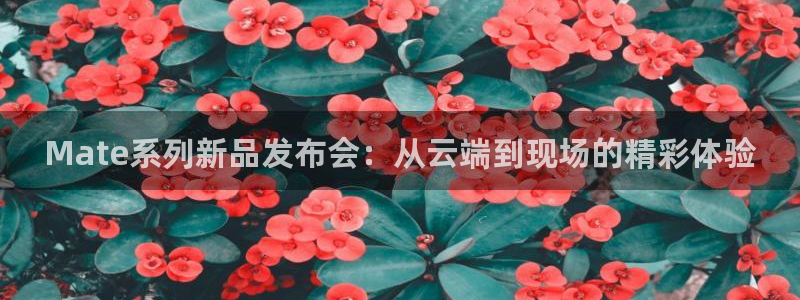 jrkan体育直播网：Mate系列新品发布会：从云端到现场的精彩体验