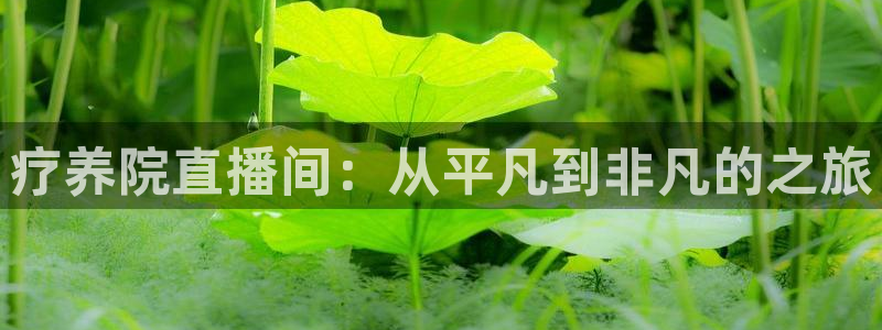 jrkan体育在线直播免费观看：疗养院直播间：从平凡到非凡的之旅
